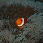 Thumbnail of post image 051